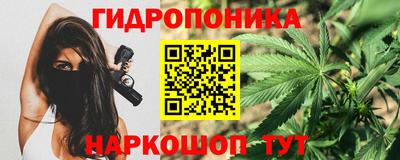 крисы Аша